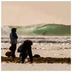 Ailerons Surf Fcs Fcs II Deus Modern Keel Pg 11 Ailerons Surf Fcs Fcs II Deus Modern Keel Pg -Quiksilver Surfboard Boutique 5573aa1f4b158e13946ded83f07663d318ef29da E23FCSEWAT399317 901